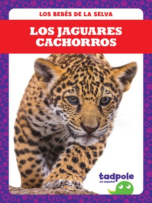 cover image of Los jaguares cachorros (Jaguar Cubs)